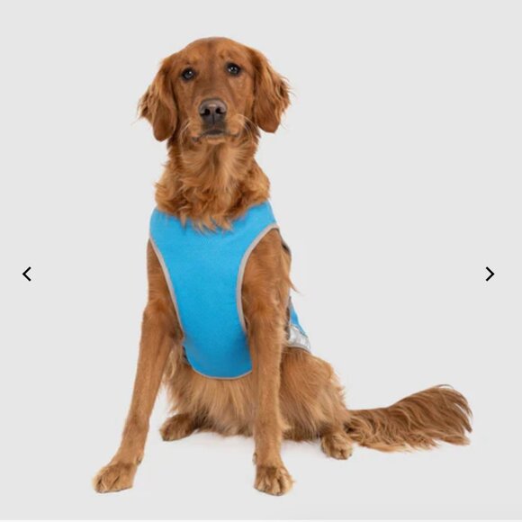 Dog Vest Canada Pooch Cooling Mesh Reflective 12 Inch Back Length Brand New Aqua - Picture 16 of 16
